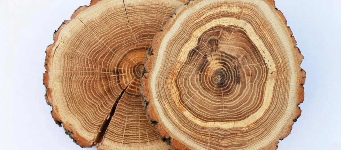 wood