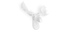 Buy Wall Decoration - White Moose Head - Ika White 55734 - prices