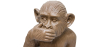 Buy Decorative Design Figure - Silent Monkey - Sense Brown 58448 with a guarantee