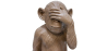Buy Decorative Design Figure - Blind Monkey - Sense Brown 58446 - in the UK
