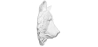 Buy Wall Decoration - White Bear Head - Ika White 55732 - prices