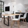 Buy Dining Chair Scandinavian Design Brielle  White 58593 - prices