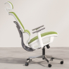 Buy Ergonomic Office Chair with Wheels and Armrests - Techas Green 61281 with a guarantee