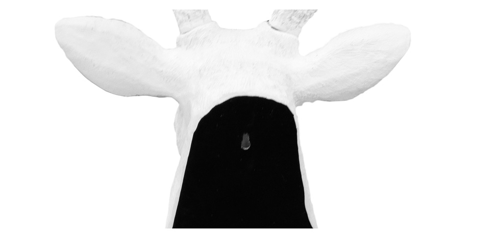 Buy Wall Decoration - White Deer Head - Ika White 55737 home delivery