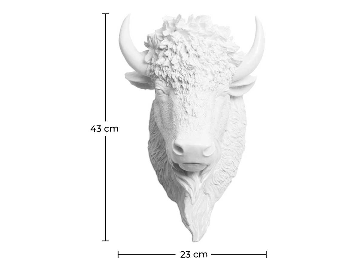 Buy Wall Decoration - White Buffalo Head - Ika White 58445 - prices