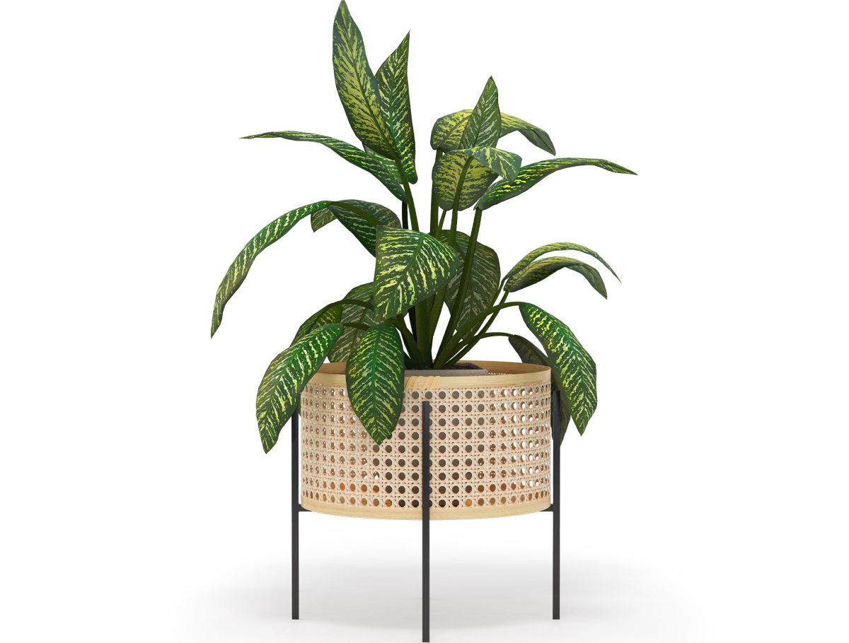 Buy Pot de Sol Rond - Style Boho - Etnica Natural 61243 - in the UK