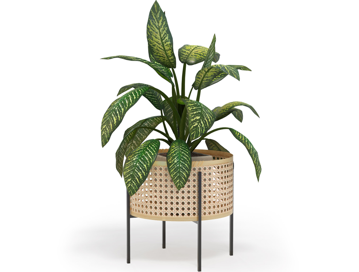 Buy Pot de Sol Rond - Style Boho - Etnica Natural 61243 at MyFaktory