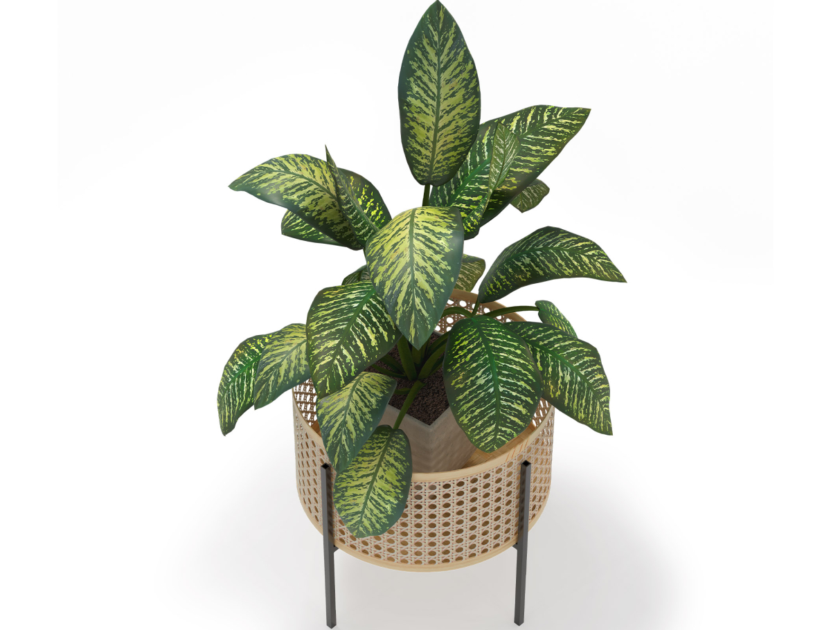 Buy Pot de Sol Rond - Style Boho - Etnica Natural 61243 home delivery